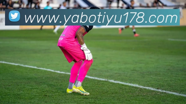 亚博体育平台生态图